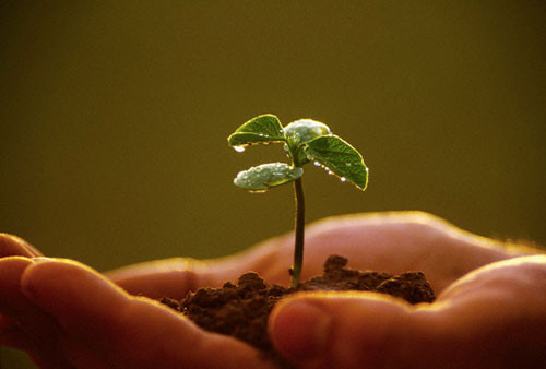 Quỹ niềm tin của bạn vẫn lớn lên hằng ngày chứ?