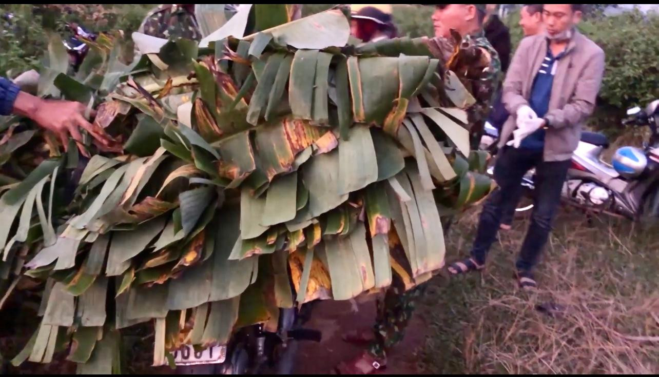 38 hộp pháo lậu được ngụy trang bằng nhiều lớp lá chuối tươi.