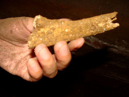 Một mẩu xương ống tay trong hang Mòi