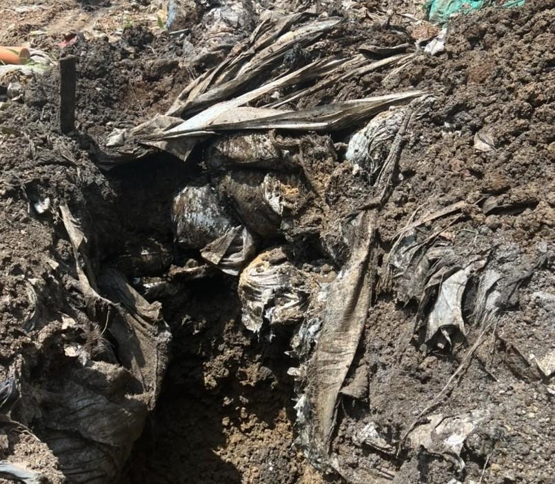 Nhiều chất thải được chôn sâu dưới đất Ảnh: Công an cung cấp