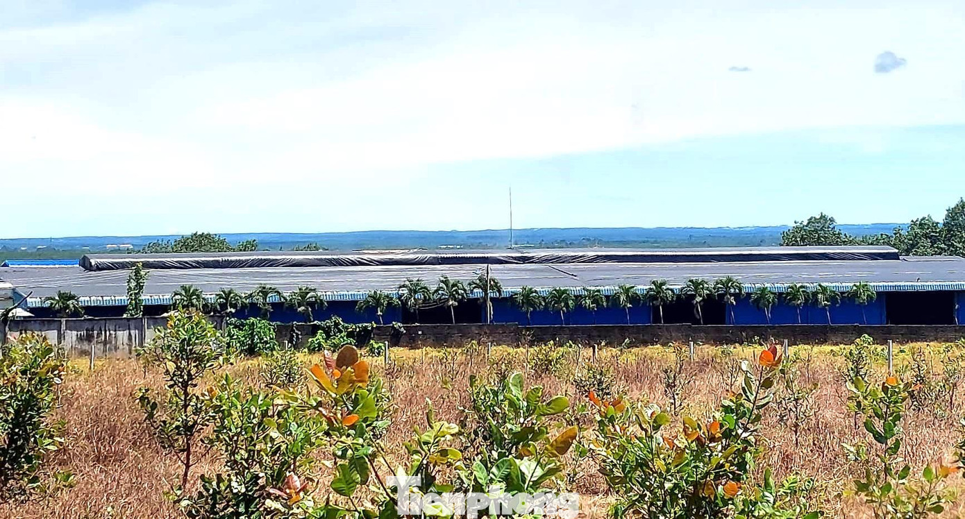 Khu vực nhà máy sản xuất phân quy mô lớn