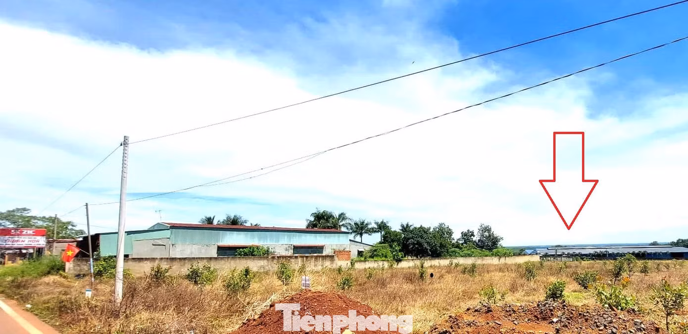 Trại chứa phân bao quanh là khu dân cư có đông người dân sinh sống