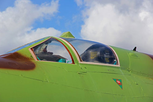  Thương vụ này được nhận định không thực sự hợp lý, bởi khi đó Triều Tiên phải đối đầu với một trong những nạn đói nguy hiểm nhất trong lịch sử