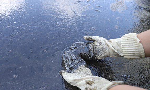 Váng dầu loang trên hồ Linh Đàm công nhân có thể dùng tay xúc lên thùng chứa. Ảnh: Hoài Nam.