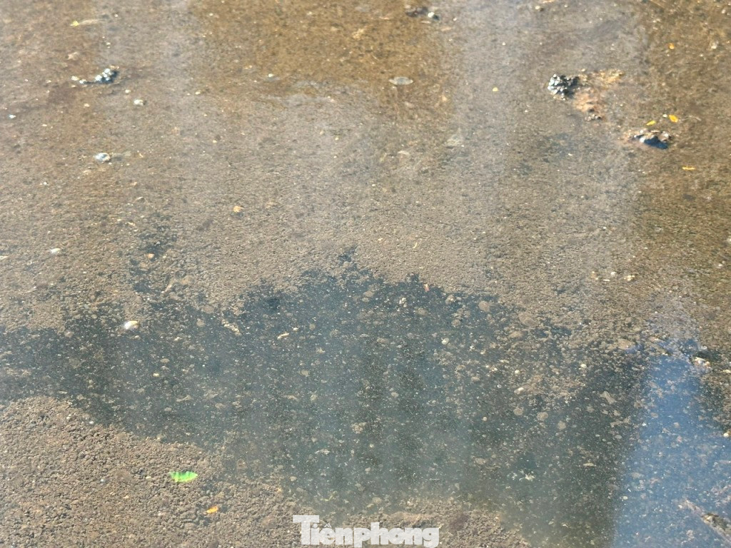 Lớp váng dầu này bao phủ một phần diện tích mặt hồ nước phía Công viên Bắc Linh Đàm và trước các tòa chung cư HH. Lớp váng dầu này bao phủ một phần diện tích mặt hồ nước phía Công viên Bắc Linh Đàm và trước các tòa chung cư HH.