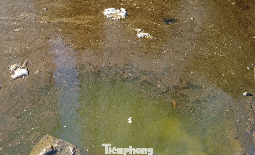 Khi phóng viên dùng một đoạn gậy nhiều lần khoắng mạnh lớp váng dầu phía trên, mặt nước hồ Linh Đàm mới hiện ra. Nước trong có thể nhìn thấy lớp đá kè bờ bên dưới. Khi phóng viên dùng một đoạn gậy nhiều lần khoắng mạnh lớp váng dầu phía trên, mặt nước hồ Linh Đàm mới hiện ra. Nước trong có thể nhìn thấy lớp đá kè bờ bên dưới.