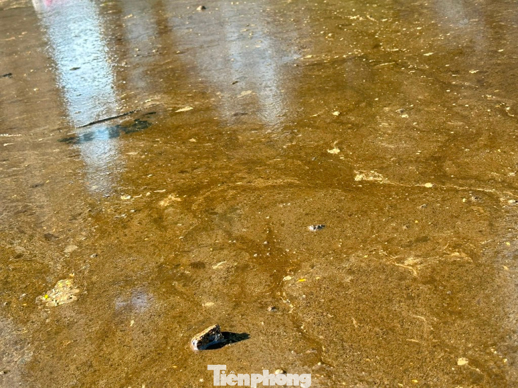 Đến sáng nay (2/10), sau nhiều ngày công nhân Công ty Thoát nước Hà Nội thu gom, xử lý, nhưng váng dầu trên mặt nước hồ Linh Đàm vẫn đậm đặc. Đến sáng nay (2/10), sau nhiều ngày công nhân Công ty Thoát nước Hà Nội thu gom, xử lý, nhưng váng dầu trên mặt nước hồ Linh Đàm vẫn đậm đặc.