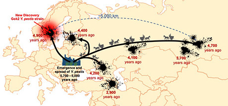 Khám phá mộ cổ 5.000 năm tuổi, phát hiện thảm họa cổ xưa nhất ảnh 1