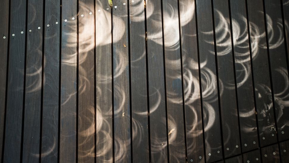 Bóng hình thành trên mặt đất khi mặt trăng di chuyển trước mặt trời trong lúc diễn ra nhật thực tại Singapore. (Ảnh: Louis Kwok, Getty Images). Bóng hình thành trên mặt đất khi mặt trăng di chuyển trước mặt trời trong lúc diễn ra nhật thực tại Singapore. (Ảnh: Louis Kwok, Getty Images).