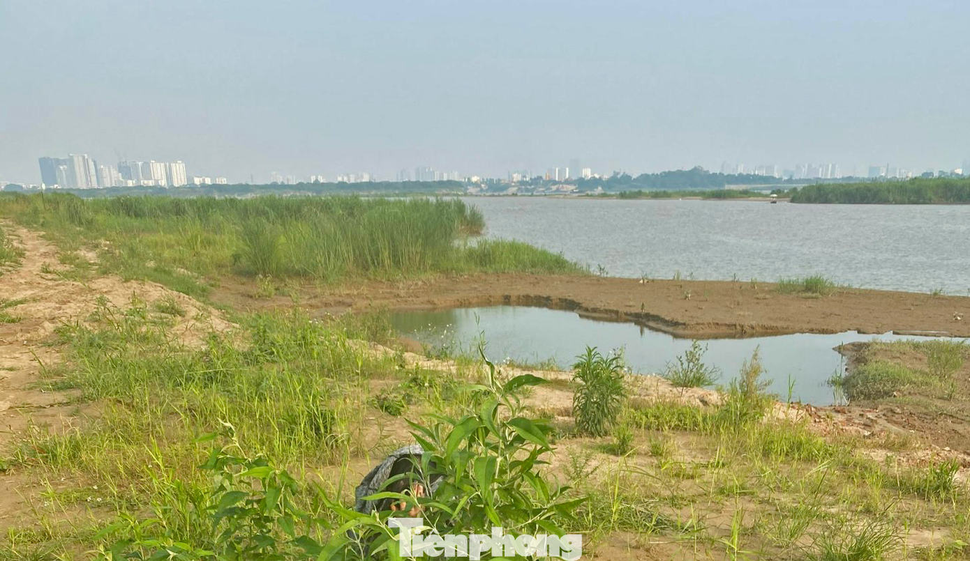 Khu vực bãi sông Hồng được nghiên cứu theo phương án xây khu đô thị mới hiện đại, khu nhà ở sinh thái, công trình công cộng. (Ảnh: Lộc Liên) Khu vực bãi sông Hồng được nghiên cứu theo phương án xây khu đô thị mới hiện đại, khu nhà ở sinh thái, công trình công cộng. (Ảnh: Lộc Liên)