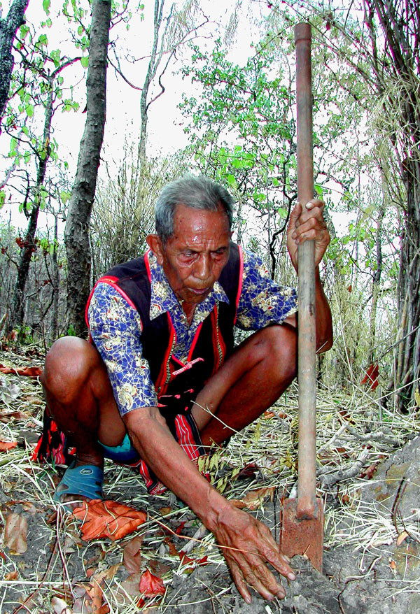 Ama Kông có ngậm cười?... ảnh 2