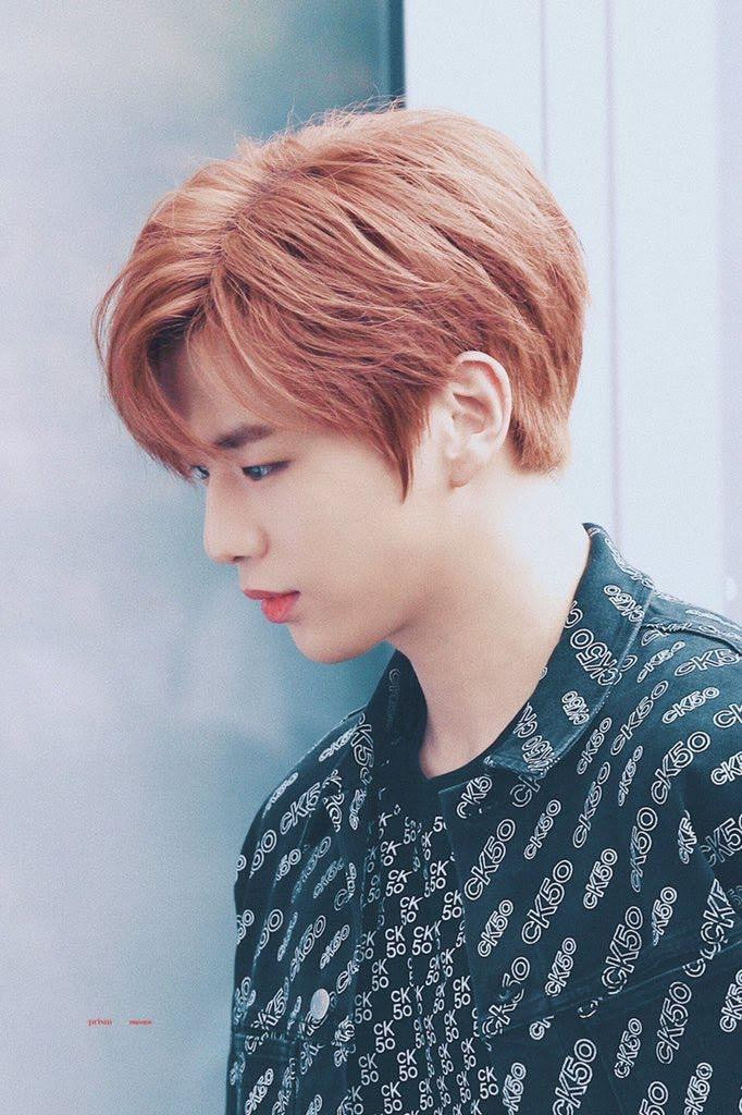 Không chỉ fan mà đến cả netizen cũng phải gật đầu công nhận Kang Daniel với tóc cam chính là tổ hợp tuyệt vời, nâng visual của nam thần tượng lên một tầm cao mới. Không chỉ fan mà đến cả netizen cũng phải gật đầu công nhận Kang Daniel với tóc cam chính là tổ hợp tuyệt vời, nâng visual của nam thần tượng lên một tầm cao mới.