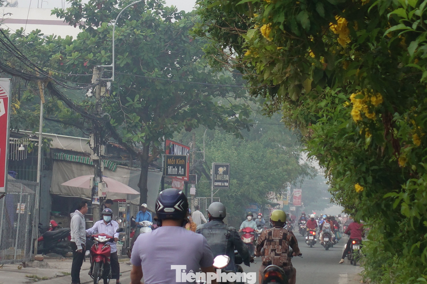 Sương mù dày đặc ở đường Tân Liêm, huyện Bình Chánh (TPHCM) vào sáng 27/12.