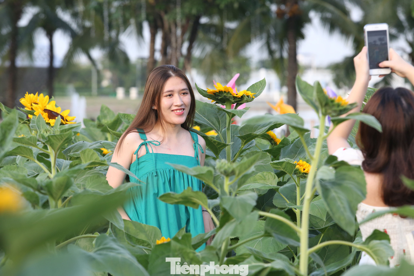 Bước vào vườn hoa như lạc vào không gian nhiều sắc màu. Bước vào vườn hoa như lạc vào không gian nhiều sắc màu.