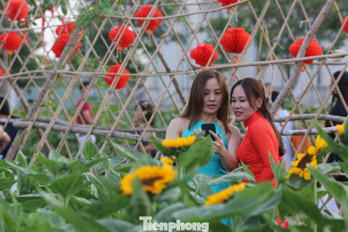 Sau 3 ngày mở cửa, nơi đây đã đón hàng nghìn lượt khách đến tham quan, chụp ảnh. Sau 3 ngày mở cửa, nơi đây đã đón hàng nghìn lượt khách đến tham quan, chụp ảnh.