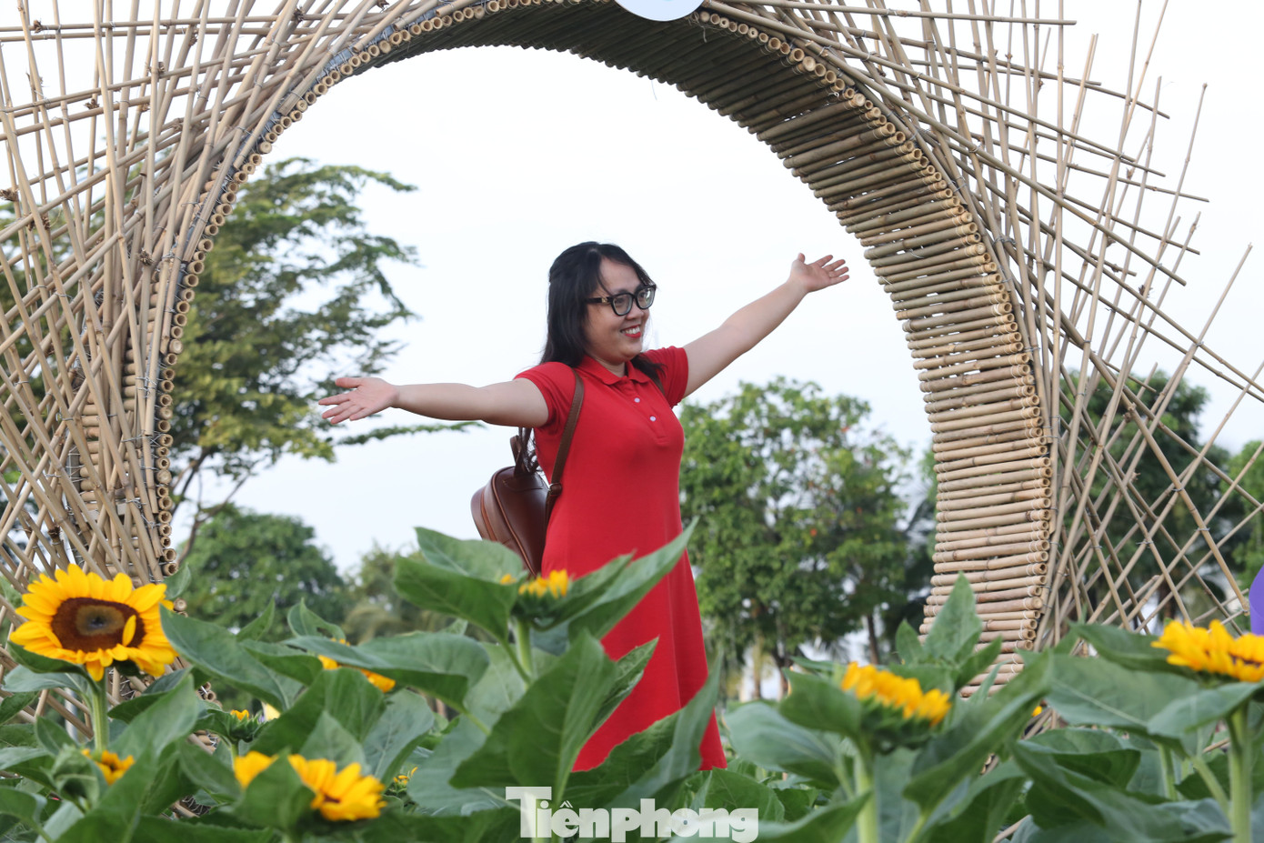 Vườn hoa mở cửa dịp cuối năm để du khách có điểm đến tham quan, vui chơi nhân dịp năm mới. Vườn hoa mở cửa dịp cuối năm để du khách có điểm đến tham quan, vui chơi nhân dịp năm mới.