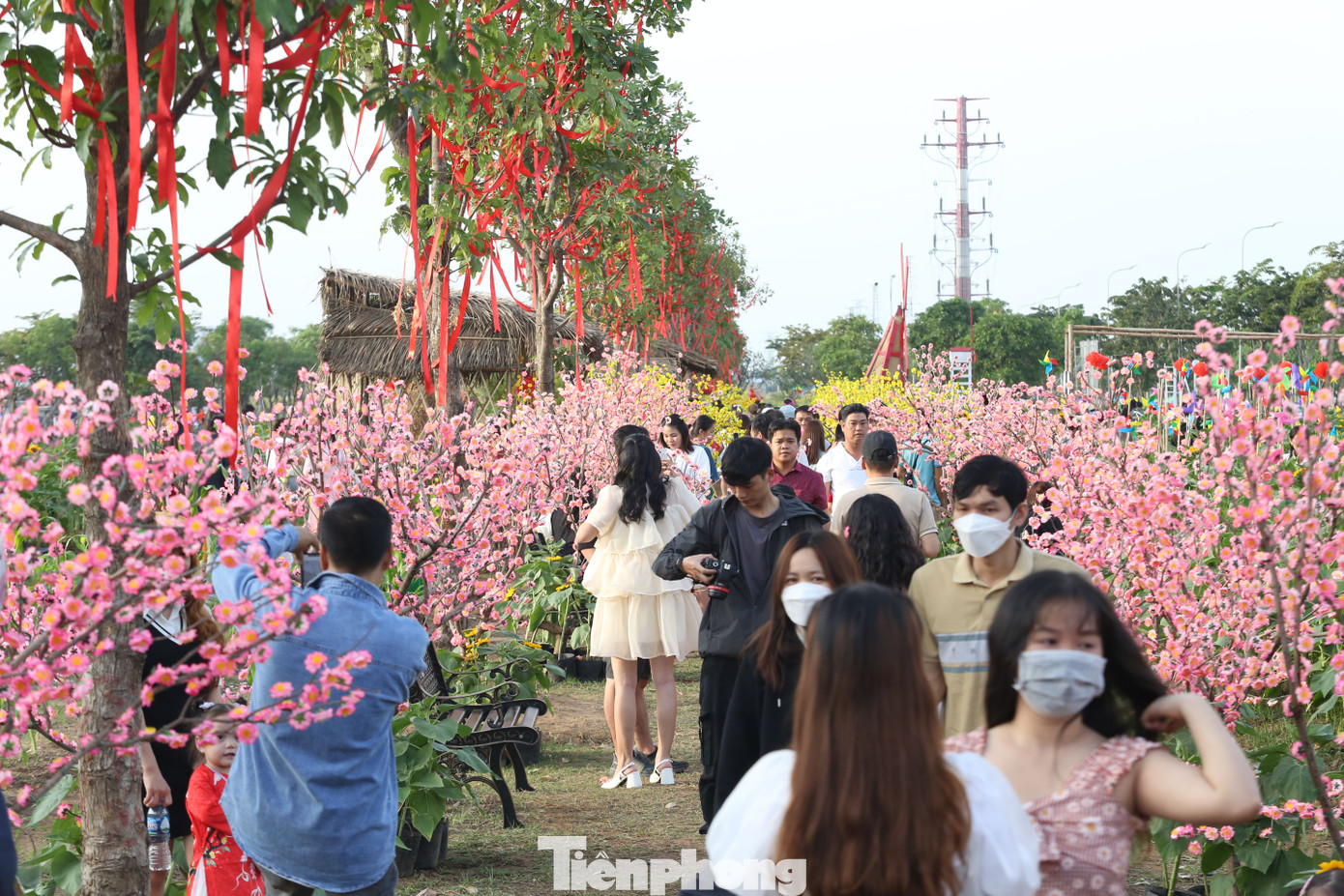 Ngoài hoa Hướng Dương, vườn hoa còn trang trí các tiểu cảnh tái hiện lại hình ảnh ngày Tết cổ truyền Việt Nam, với nhiều tiểu cảnh xuân hấp dẫn và mới lạ. Ngoài hoa Hướng Dương, vườn hoa còn trang trí các tiểu cảnh tái hiện lại hình ảnh ngày Tết cổ truyền Việt Nam, với nhiều tiểu cảnh xuân hấp dẫn và mới lạ.