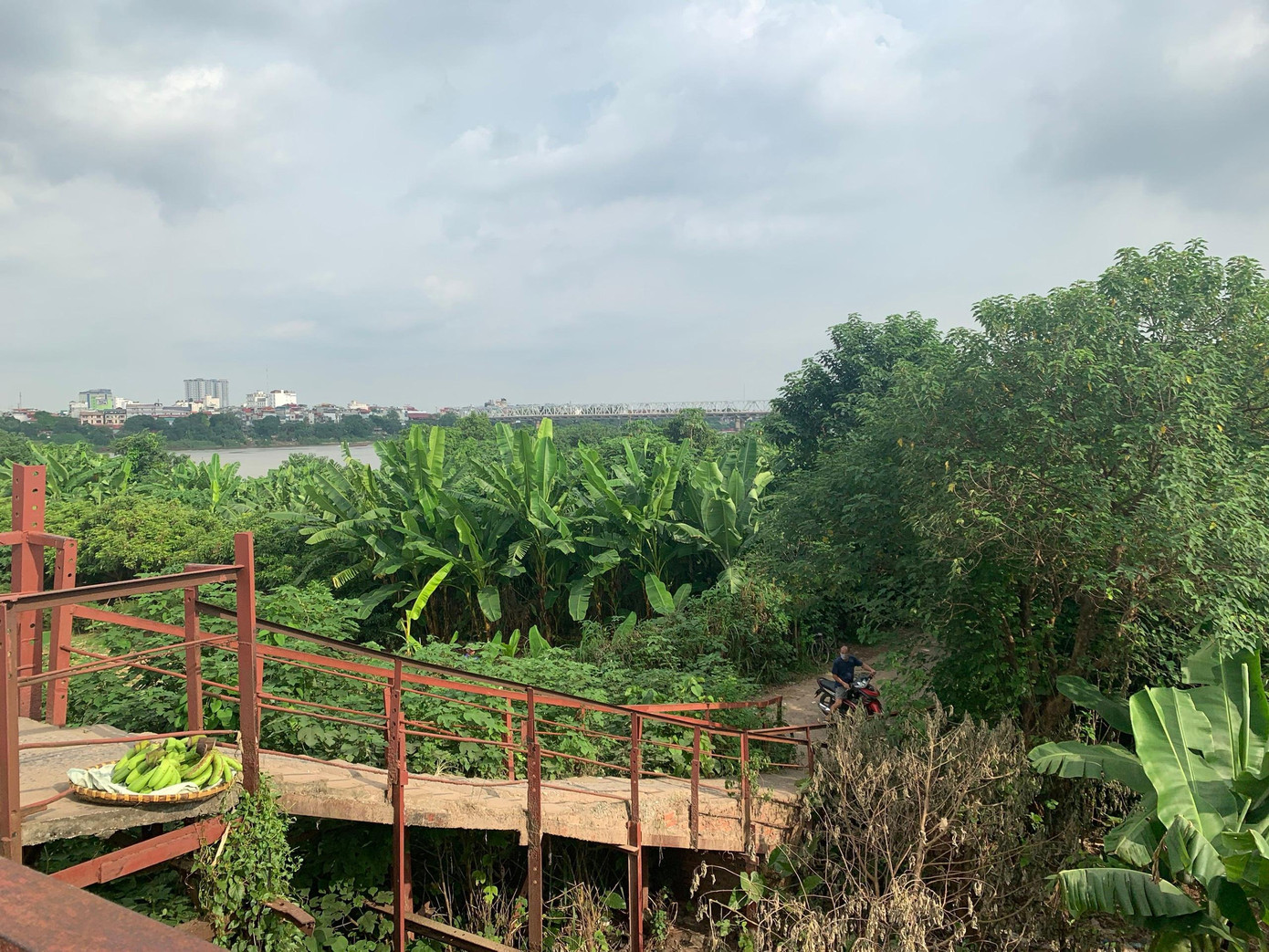 Do hoàn cảnh gia đình nên Tùng Linh gặp khá nhiều khó khăn khi phải học online.