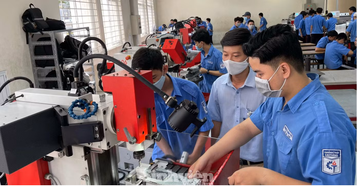 Sinh viên của các trường cao đẳng tại TP.HCM học tập trực tiếp từ ngày 20/12. Ảnh: Internet.