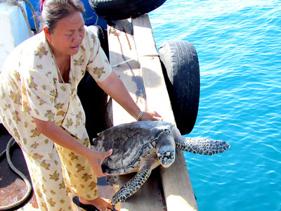 bà Nguyễn Thị Hòa . bà Nguyễn Thị Hòa