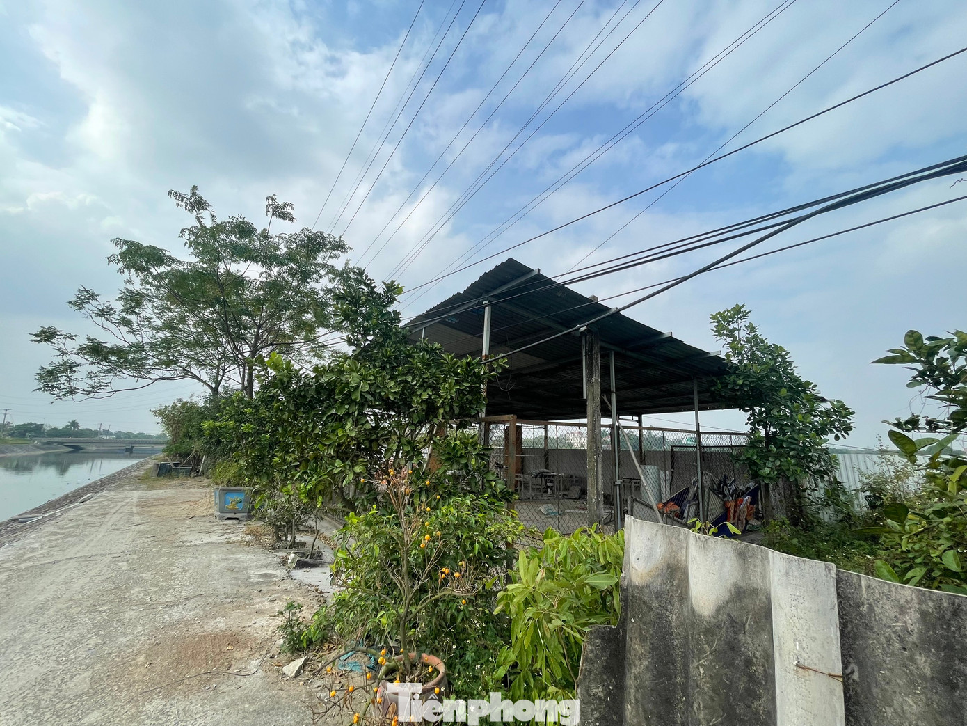 Phía ngoài hàng rào quây tôn của dự án, còn xuất hiện tình trạng người dân tự ý đổ đường bê tông, xây dựng nhà xưởng, đào ao, trồng cây ăn quả lâu năm. (Ảnh: Lập Đông)