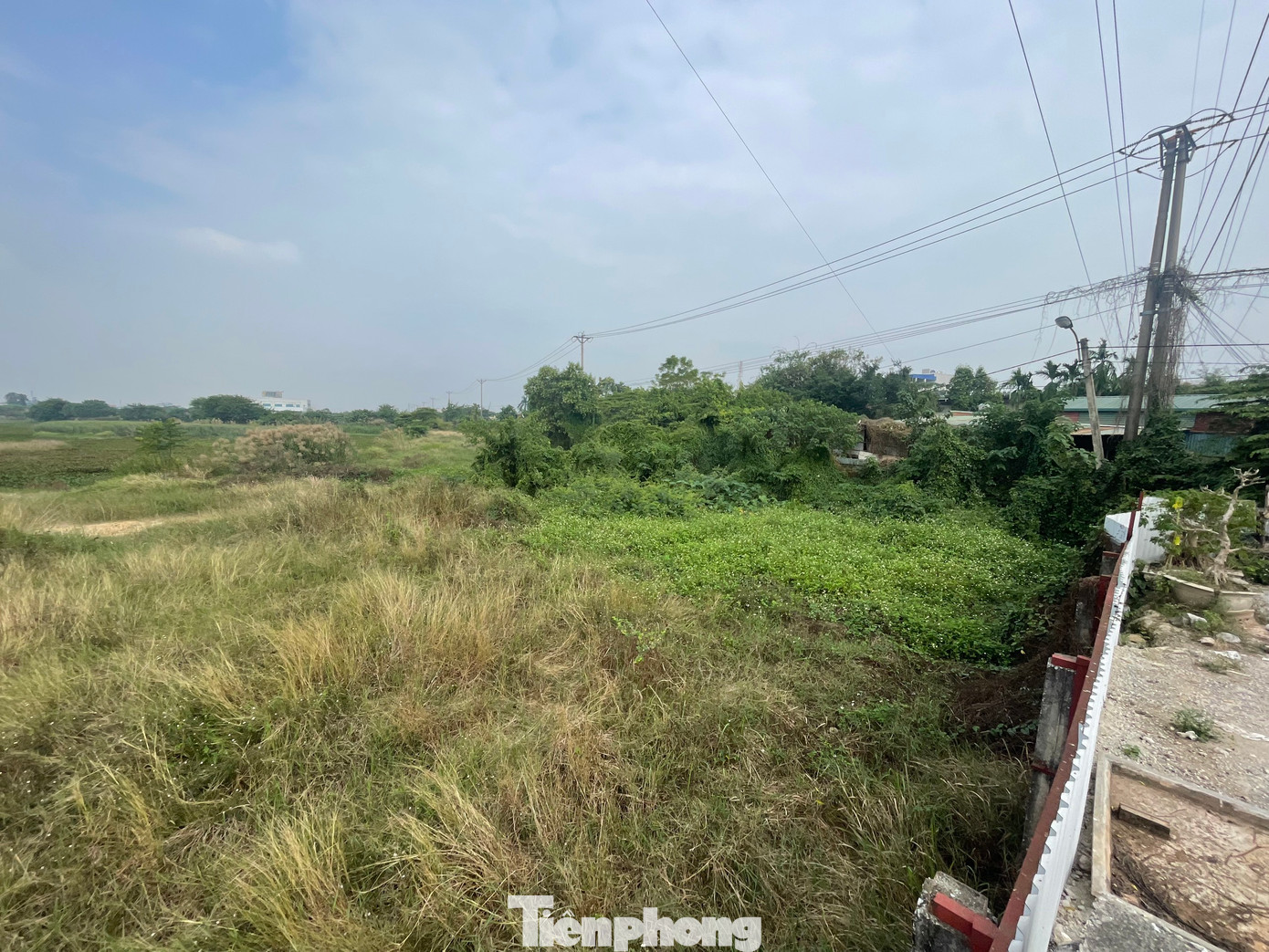 Tổng diện tích đất thu hồi đất nông nghiệp trong năm 2024 tại 2 quận huyện Hoàng Mai và Đông Anh là hàng nghìn ha. (Ảnh minh họa: Lập Đông)