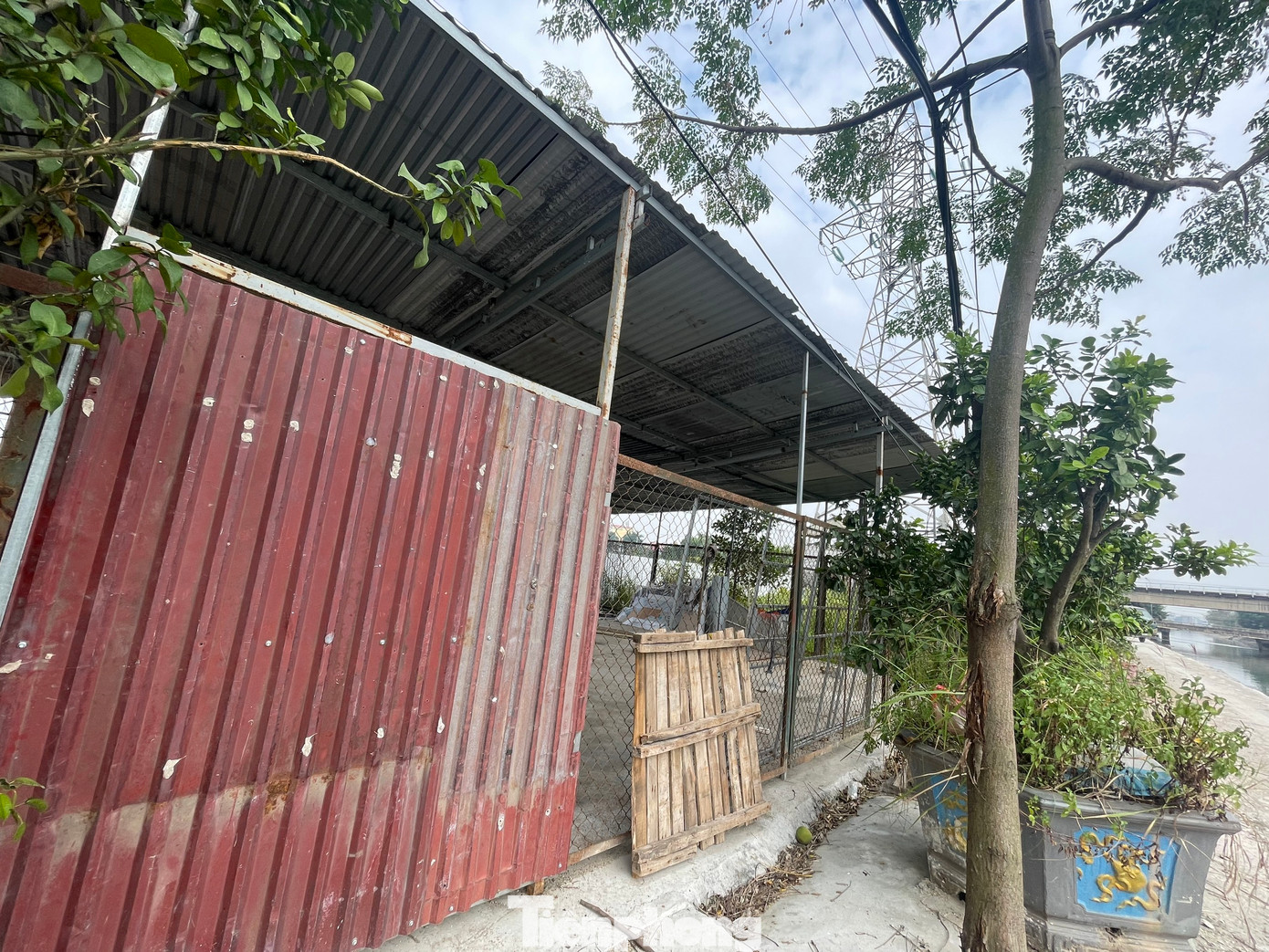 Phía ngoài hàng rào quây tôn của dự án, còn xuất hiện tình trạng người dân tự ý đổ đường bê tông, xây dựng nhà xưởng, đào ao, trồng cây ăn quả lâu năm. (Ảnh: Lập Đông)