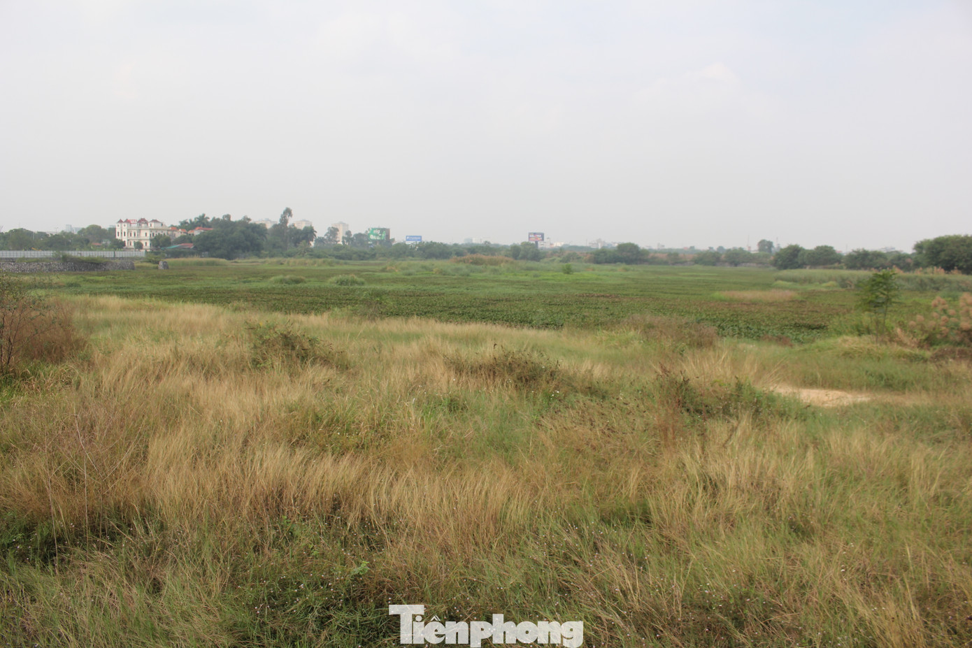 Sắp thu hồi hơn 2.600ha đất nông nghiệp ở Hà Nội, trụ sở của Tân Hoàng Minh trên đất 'vàng' bị rao bán ảnh 4