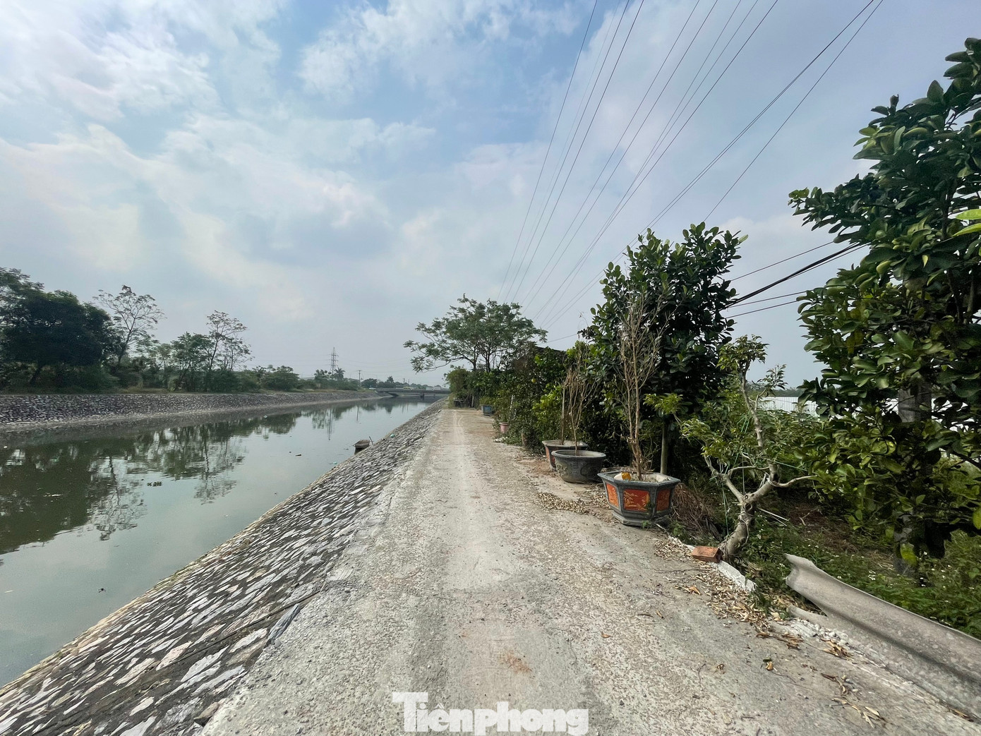 Phía ngoài hàng rào quây tôn của dự án, còn xuất hiện tình trạng người dân tự ý đổ đường bê tông, xây dựng nhà xưởng, đào ao, trồng cây ăn quả lâu năm. (Ảnh: Lập Đông)