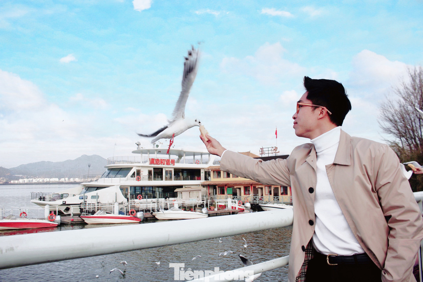 Hải âu ở hồ Điền Trì vô cùng thân thiện, du khách chỉ cầm theo mẩu bánh mì đưa tay lên trời là hải âu sẽ sà xuống mổ bánh mì. Tuy nhiên, du khách chỉ có thể ngắm và cho hải âu ăn chứ không được bắt hay ngược đãi hải âu vì đây là loài chim được bảo vệ nghiêm ngặt tại Côn Minh. (Ảnh: Lộc Liên).