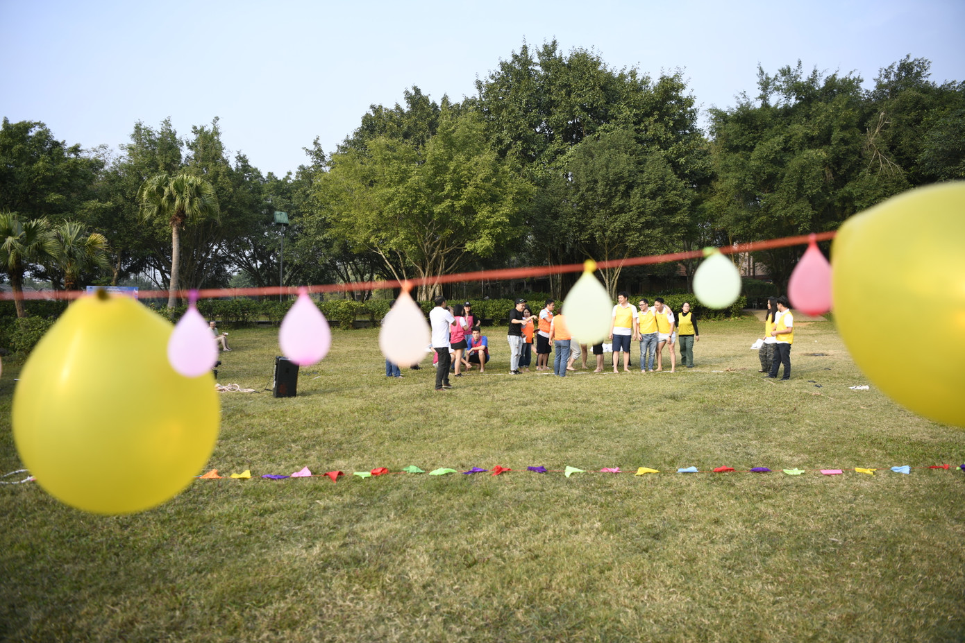 Hệ thống sân bãi cỏ tự nhiên lớn nhất có thể đáp ứng đa dạng các hoạt động tổ chức ngoài trời như teambuiding, dã ngoại.