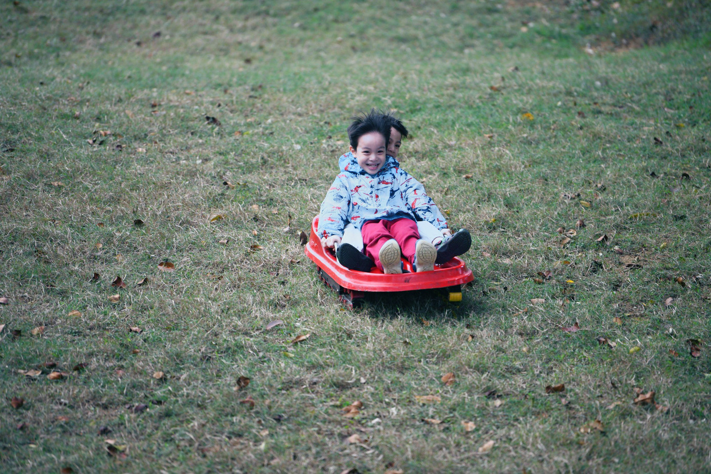 Bên cạnh đó, Thảo Viên resort còn là tổ hợp vui chơi với khu trượt cỏ lớn nhất miền Bắc, hệ thống các dịch vụ vui chơi dân gian và hiện đại.