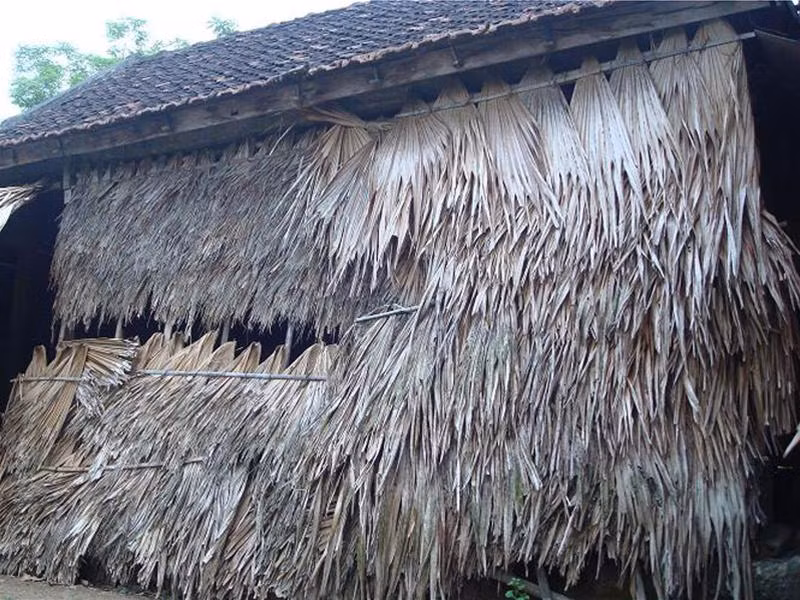 Ngôi nhà tạm bợ của cụ Nguyễn Thị Minh Ngôi nhà tạm bợ của cụ Nguyễn Thị Minh