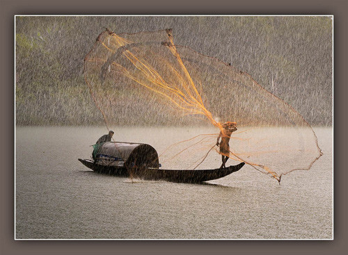 Bắt cá dưới mưa (Thể loại Tự do) – tác giả Ngô Thanh Bình (Việt Nam - Huy chương Vàng VAPA