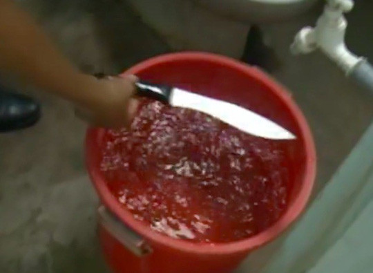 Cô gái 20 tuổi cùng nhóm bạn lên kế hoạch giết người, cướp tài sản ảnh 1