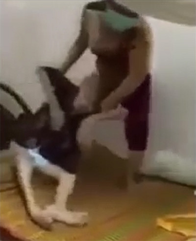 Người giúp việc hành hạ dã man cụ bà hơn 90 tuổi ảnh 1