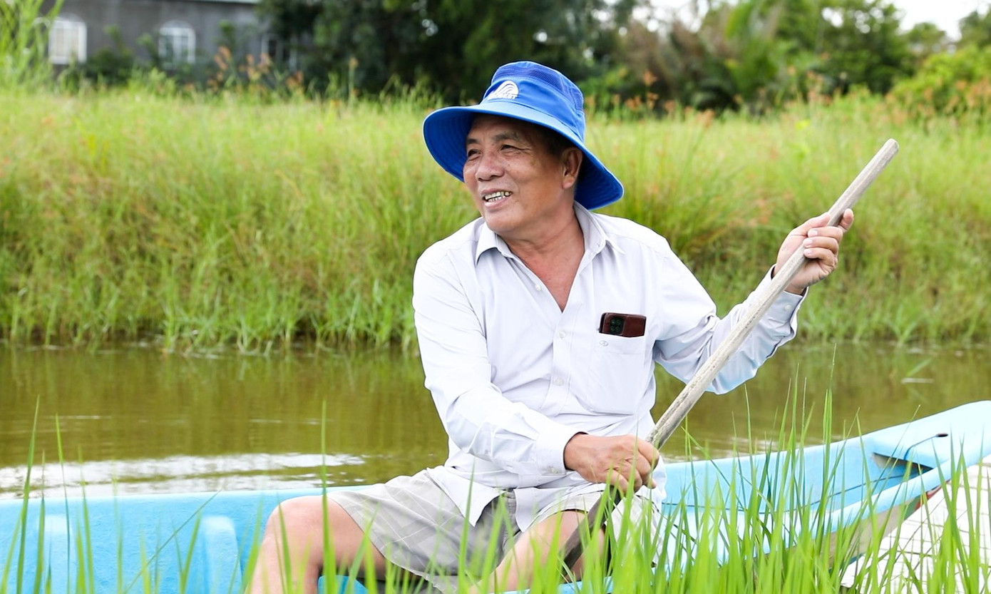 Dẫn chúng tôi ra những cánh đồng lúa – tôm vừa xuống giống từ cuối tháng 8 âm lịch, ông Cung vui vẻ kể về những cánh đồng lúa đặc biệt nơi đất mũi