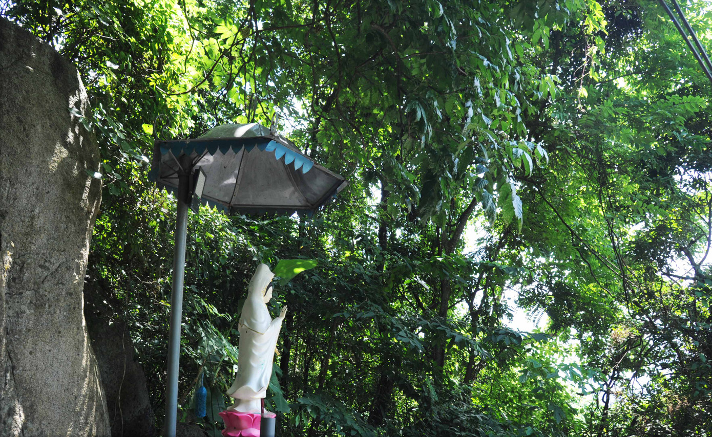 Phong cảnh núi Thị Vải vô cùng thanh tịnh, chỉ có tiếng suối xa và cây cỏ. Phong cảnh núi Thị Vải vô cùng thanh tịnh, chỉ có tiếng suối xa và cây cỏ.