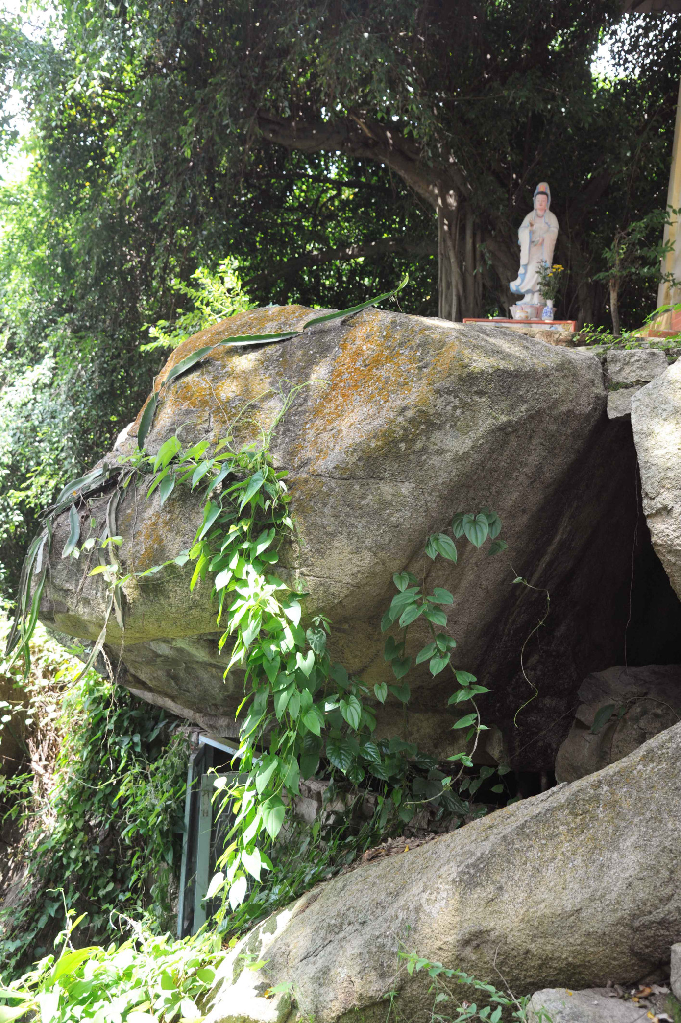 Núi Thị Vải mấy trăm năm qua trở thành ngọn núi thiêng, nhiều nhà sư tới tu tập. Trong ảnh là cái thất nằm trong hang đá, dưới chân tượng Phật. Người tu sống trong hang, không giao tiếp với bên ngoài. Núi Thị Vải mấy trăm năm qua trở thành ngọn núi thiêng, nhiều nhà sư tới tu tập. Trong ảnh là cái thất nằm trong hang đá, dưới chân tượng Phật. Người tu sống trong hang, không giao tiếp với bên ngoài.