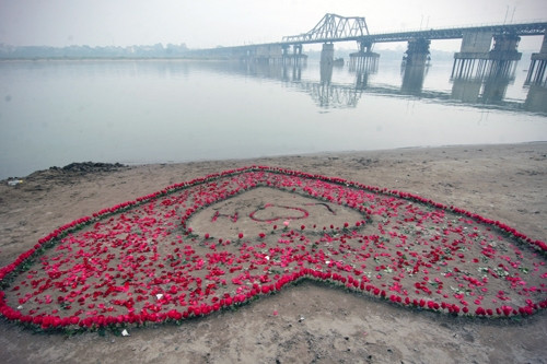 Trái tim được kết từ 600 bông hồng