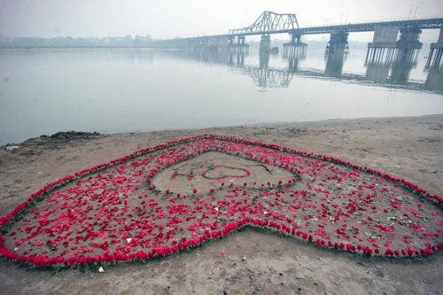 Trái tim được kết từ 600 bông hồng. Trái tim được kết từ 600 bông hồng