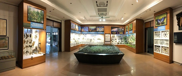 Những mẫu sinh vật rực rỡ trên cao nguyên đá Đồng Văn ảnh 11