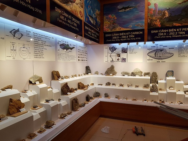 Những mẫu sinh vật rực rỡ trên cao nguyên đá Đồng Văn ảnh 10