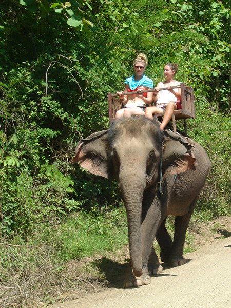 Cưỡi voi ở Luang Prabang