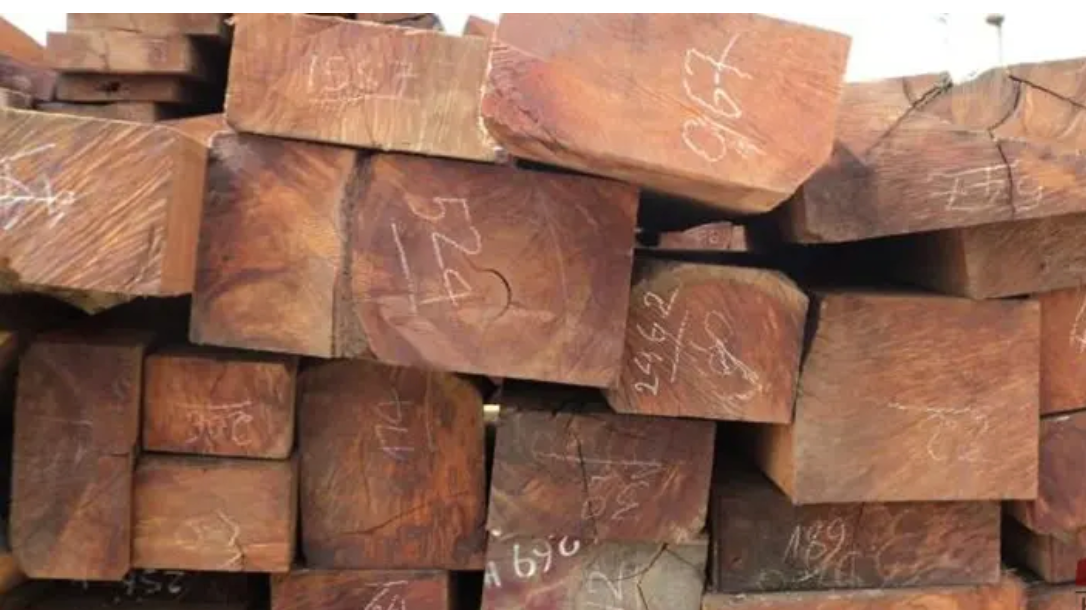 Gỗ trắc thuộc loại quý hiếm.