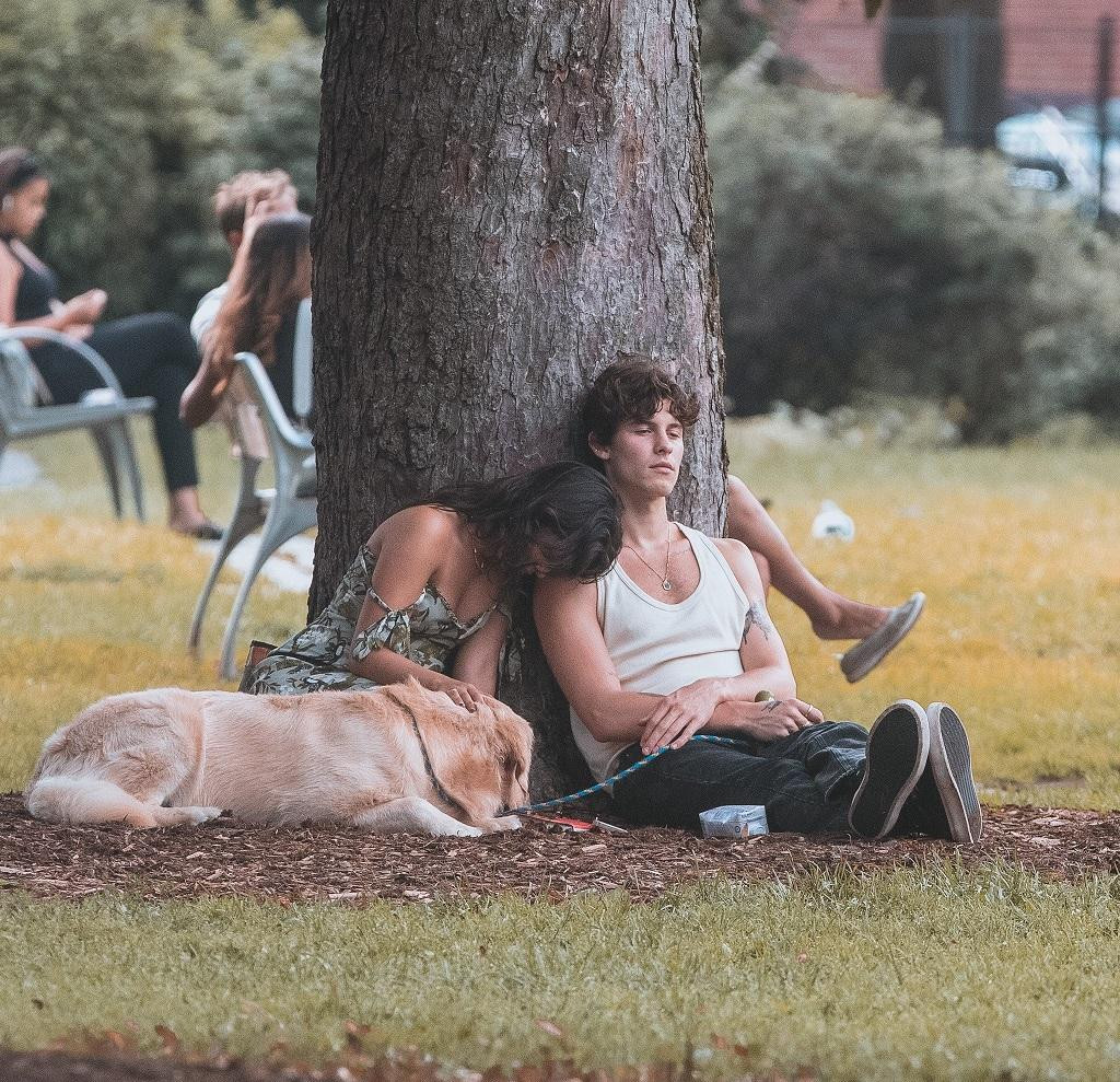 Hình ảnh gây sốt cộng đồng mạng của cặp đôi Shawn - Camila. Hình ảnh gây sốt cộng đồng mạng của cặp đôi Shawn - Camila.