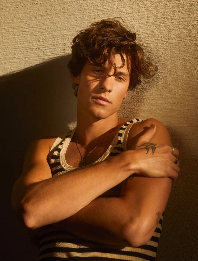 Sau những chuỗi ngày đau buồn thì Shawn vẫn còn các fan bên cạnh.