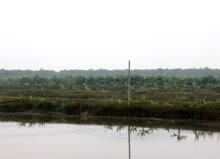 Khu đầm của gia đình ông Đoàn Văn Vươn