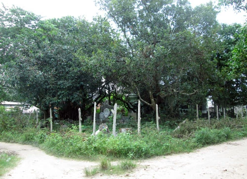 Theo chính quyền địa phương, cách đây 11 năm, một ông già (lúc này đã 72 tuổi) ngụ TP HCM xuống Tây Ninh mua lại mảnh đất rộng khoảng 1.000 m2, ngay giữa khu dân cư ấp Long Hải (xã Trường Tây, huyện Hòa Thành, tỉnh Tây Ninh) để xây một ngôi nhà thờ. Khu vườn không rào chắn, nằm tại ngã ba đường, giữa khu dân cư, nơi có nhiều người qua lại