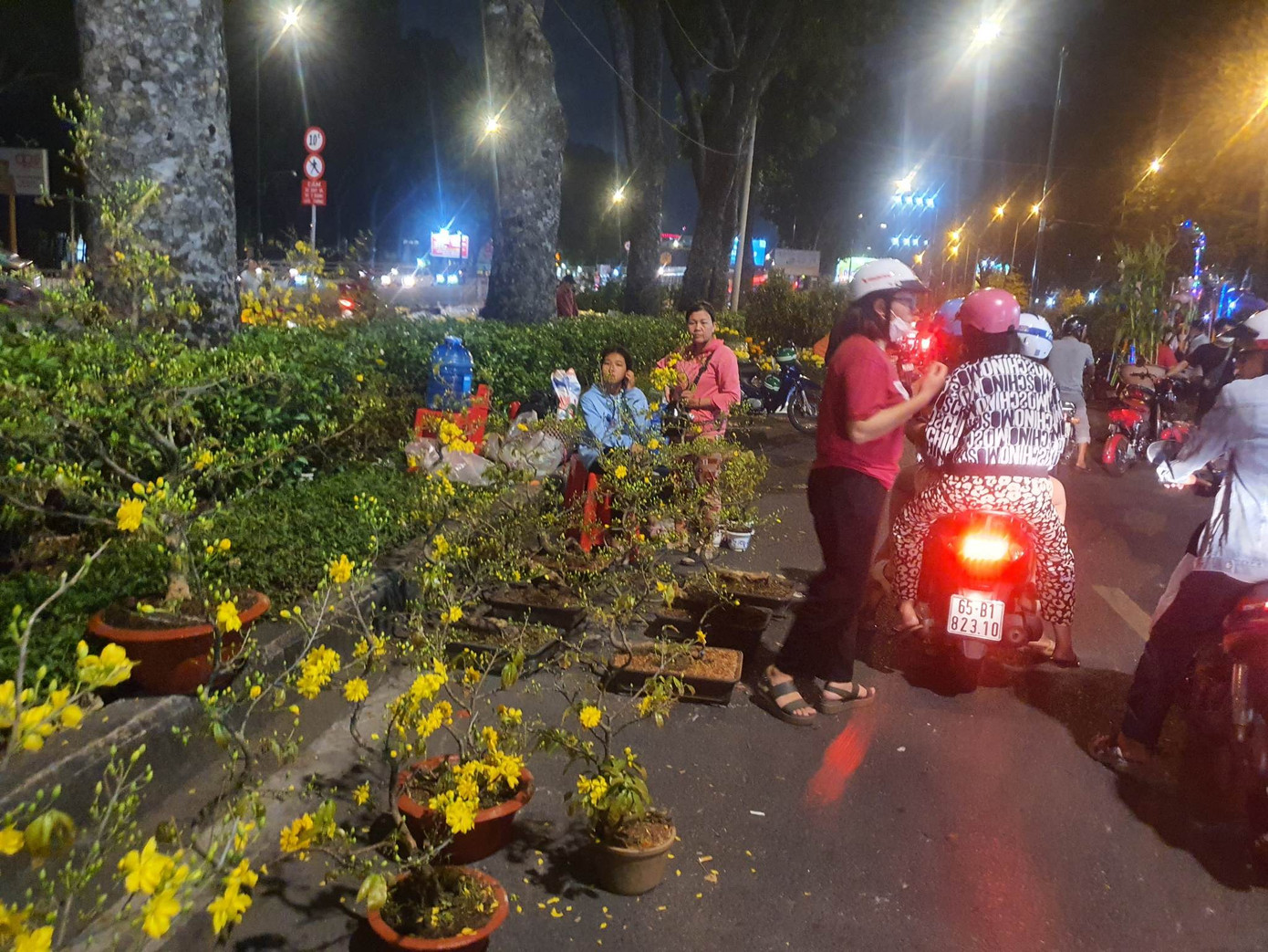 Không khí đón Tết Quý Mão trên cả nước ảnh 51